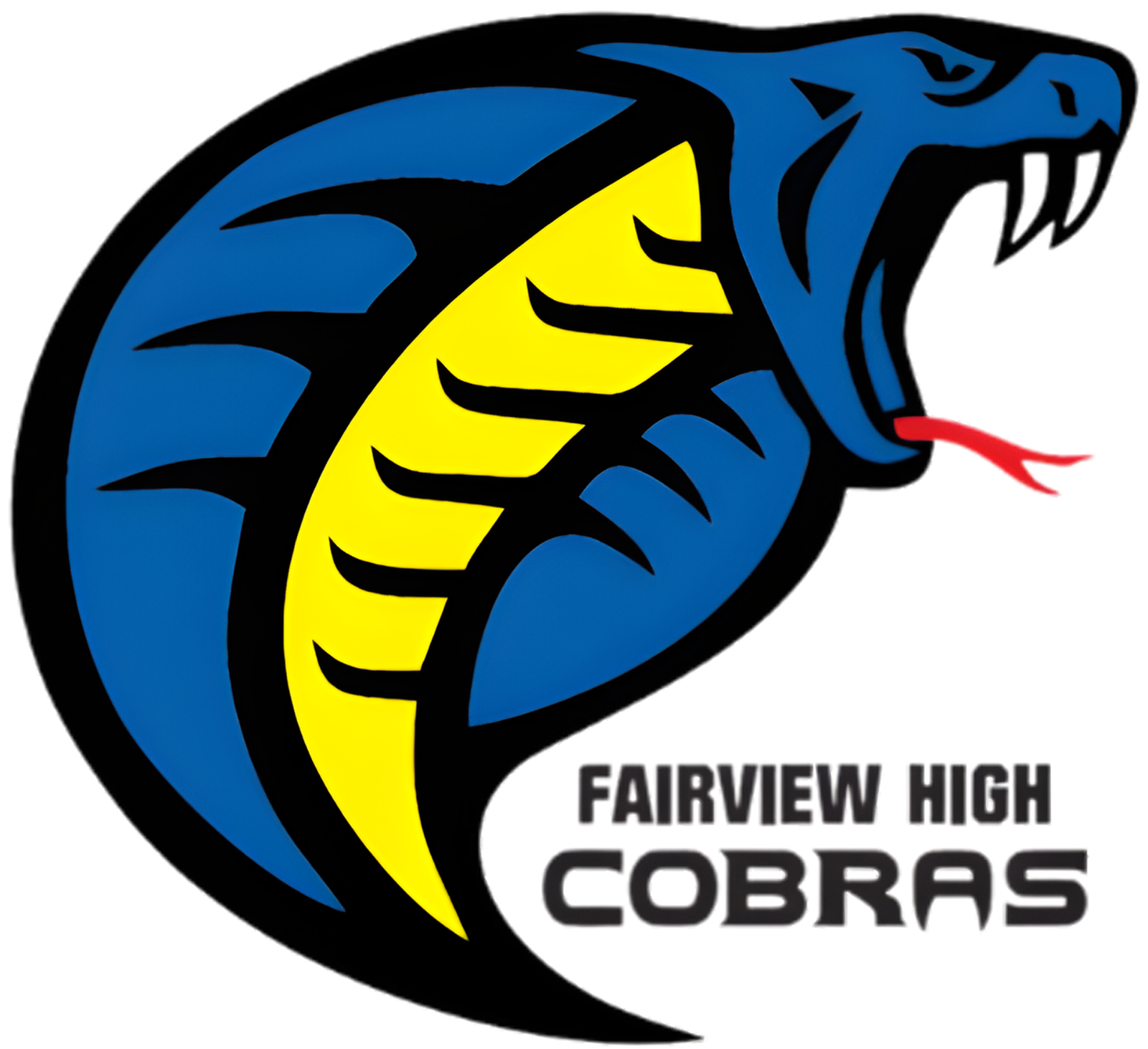 Fairview Jr./Sr. High School logo